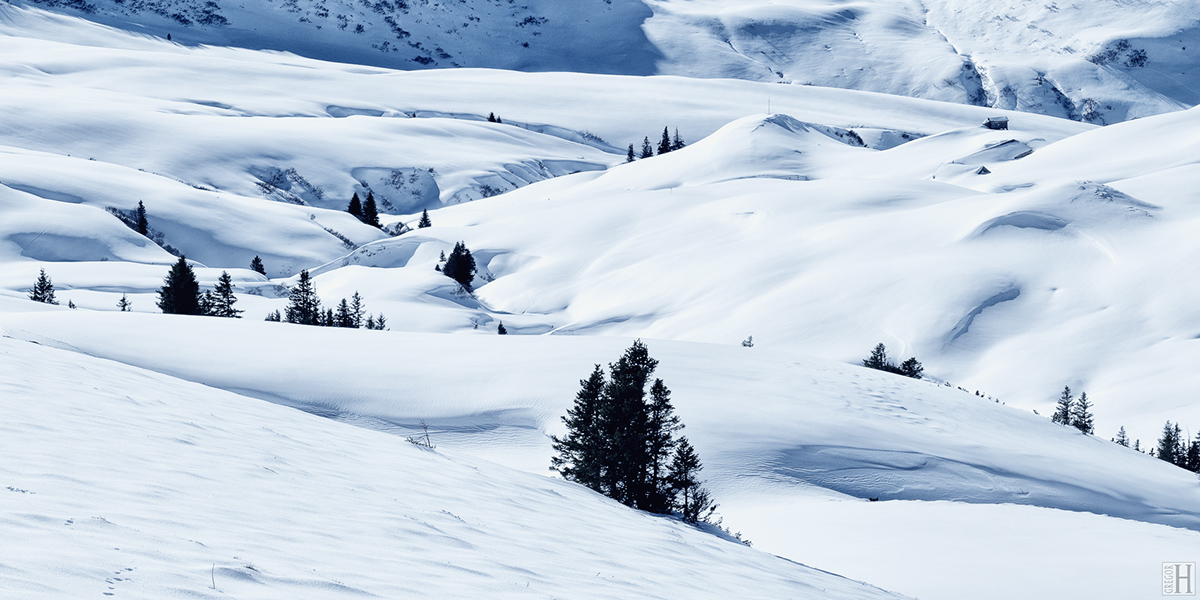 Adobe Portfolio Landscape winter mountain alps austria Vorarlberg Damüls Ski Resort snow blue cold