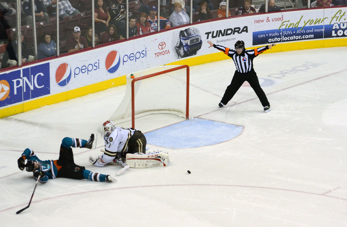hershey bears washington capitals worcester sharks San Jose Sharks AHL hockey sports sports photography