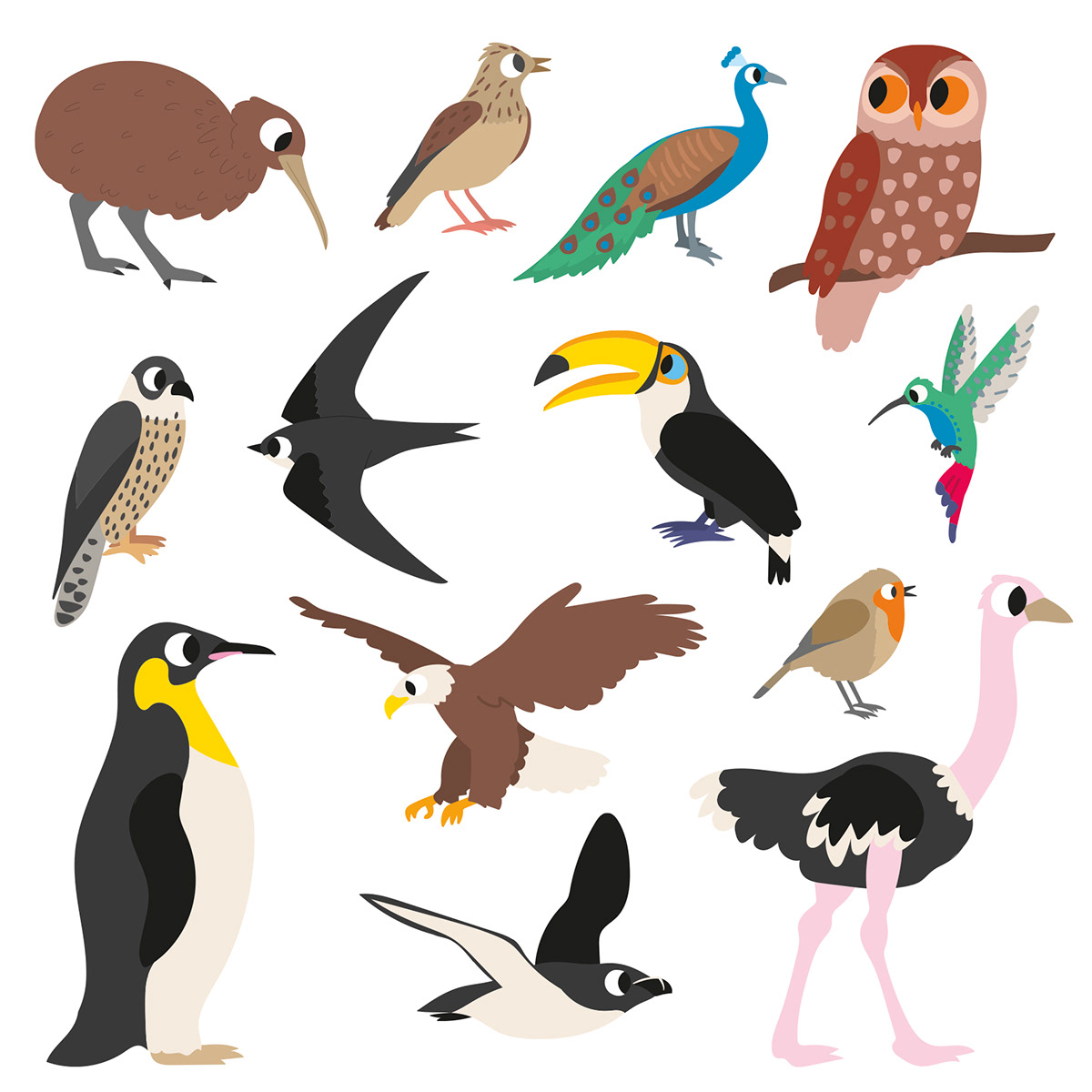 animals wildlife Nature monkey birds illustration Documentary  children kids livre édition jeunesse
