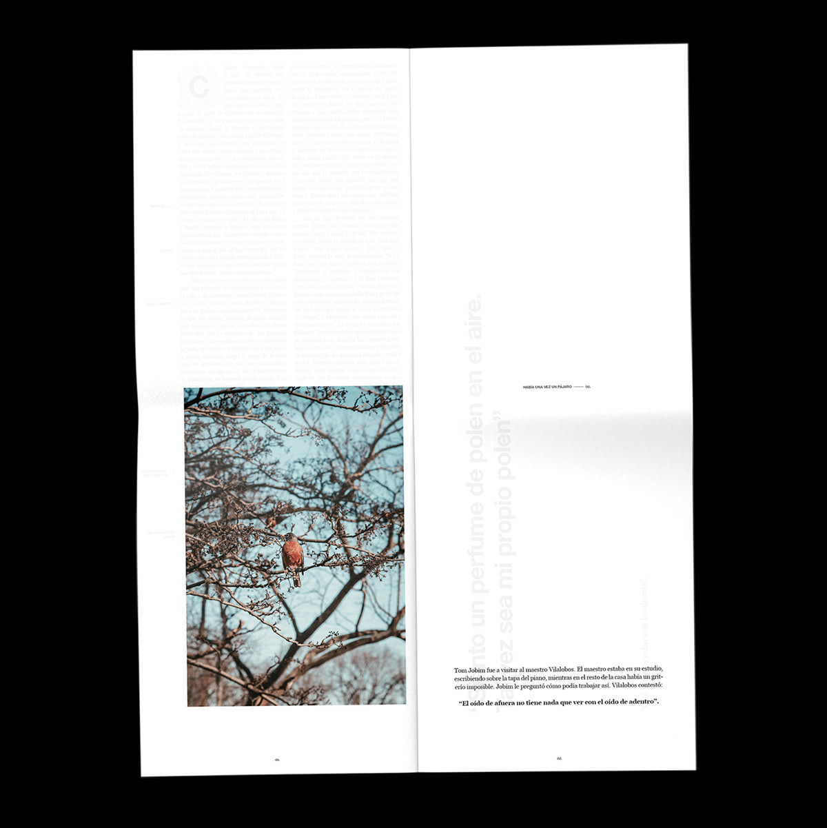 editorial revista magazine swiss grid minimal type manela poster helvetica