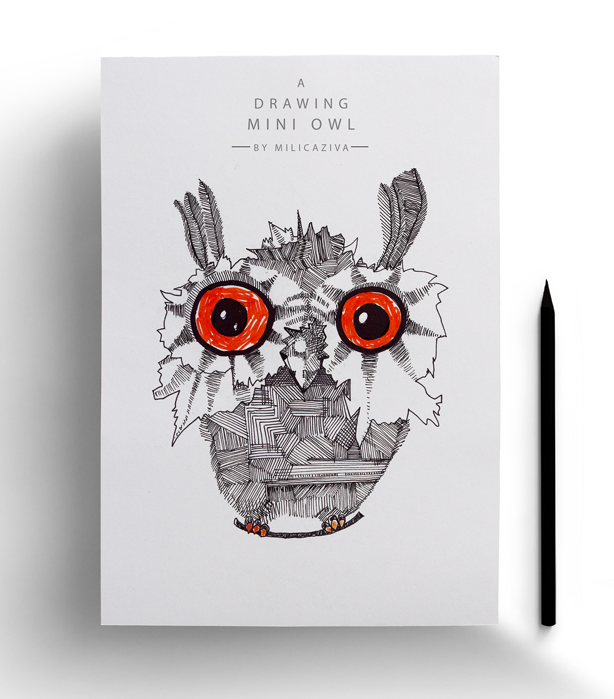 owl milicaziva birds drawings