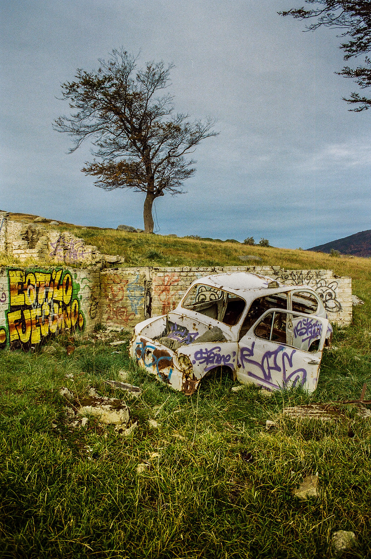 analogic photography autos abandonados Cars Chatarra dropouts ecologia film photography formato medio naturaleza Yashica MAT 124G