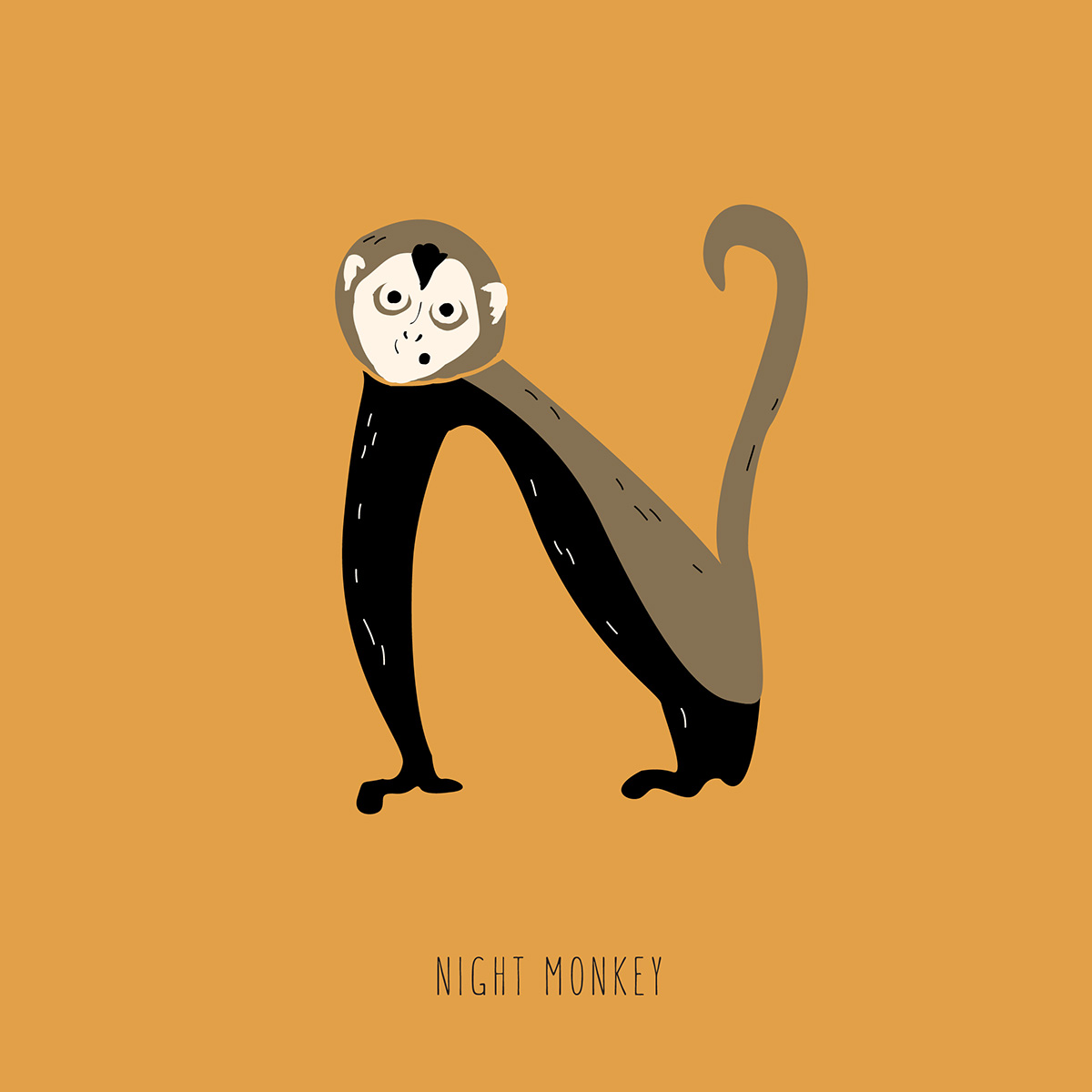 monkeys alphabet book banana edinboro educational apes