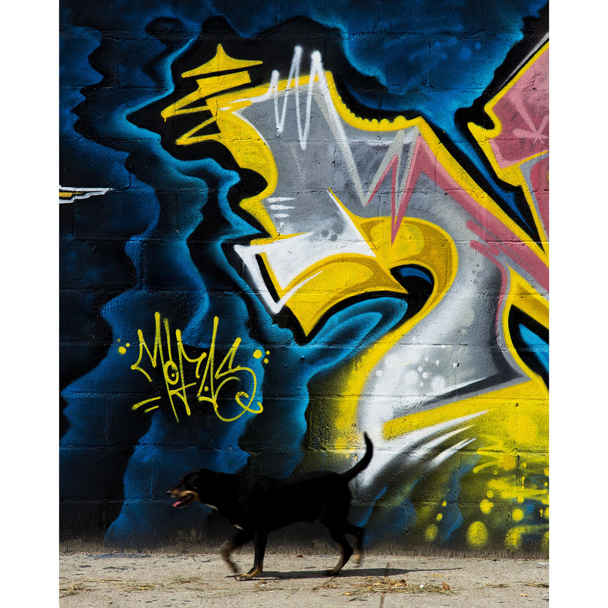 MOFAS kgcrew Florianopolis kilograficos streetgraphics streetgraphix