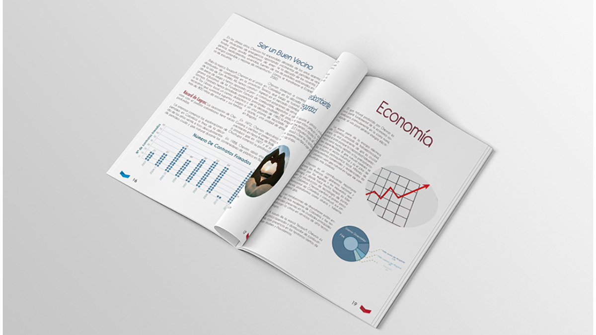 book editorial design print corporativo informe anual