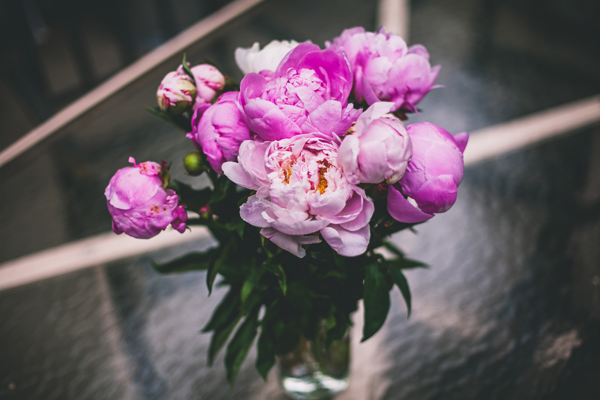 peonies peony Flowers floral pink blush Bouquet spring