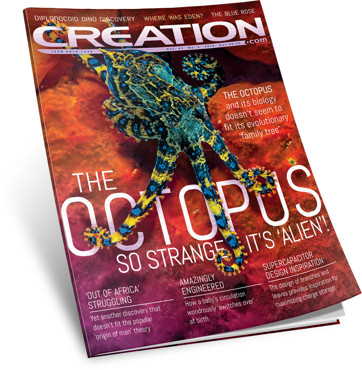 magazine cover editorial graphic type Nature design publishing  
