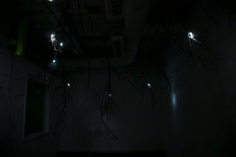 trees interactive trees Responsive responsive environments neurons roots