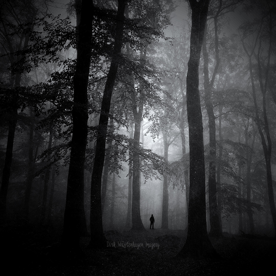 dark forest Landscape mood mystery photomanipulation trees