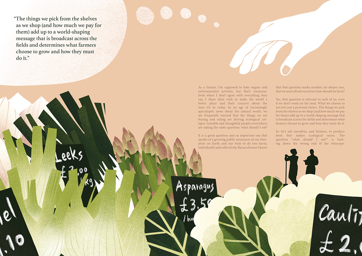 eco friendly editorial editorial design  Editorial Illustration food illustration ILLUSTRATION  magazine organic vegetable illustration