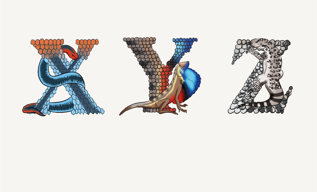 alfabeto poster cartel ilustracion reptiles artedigital abecedario alphabet