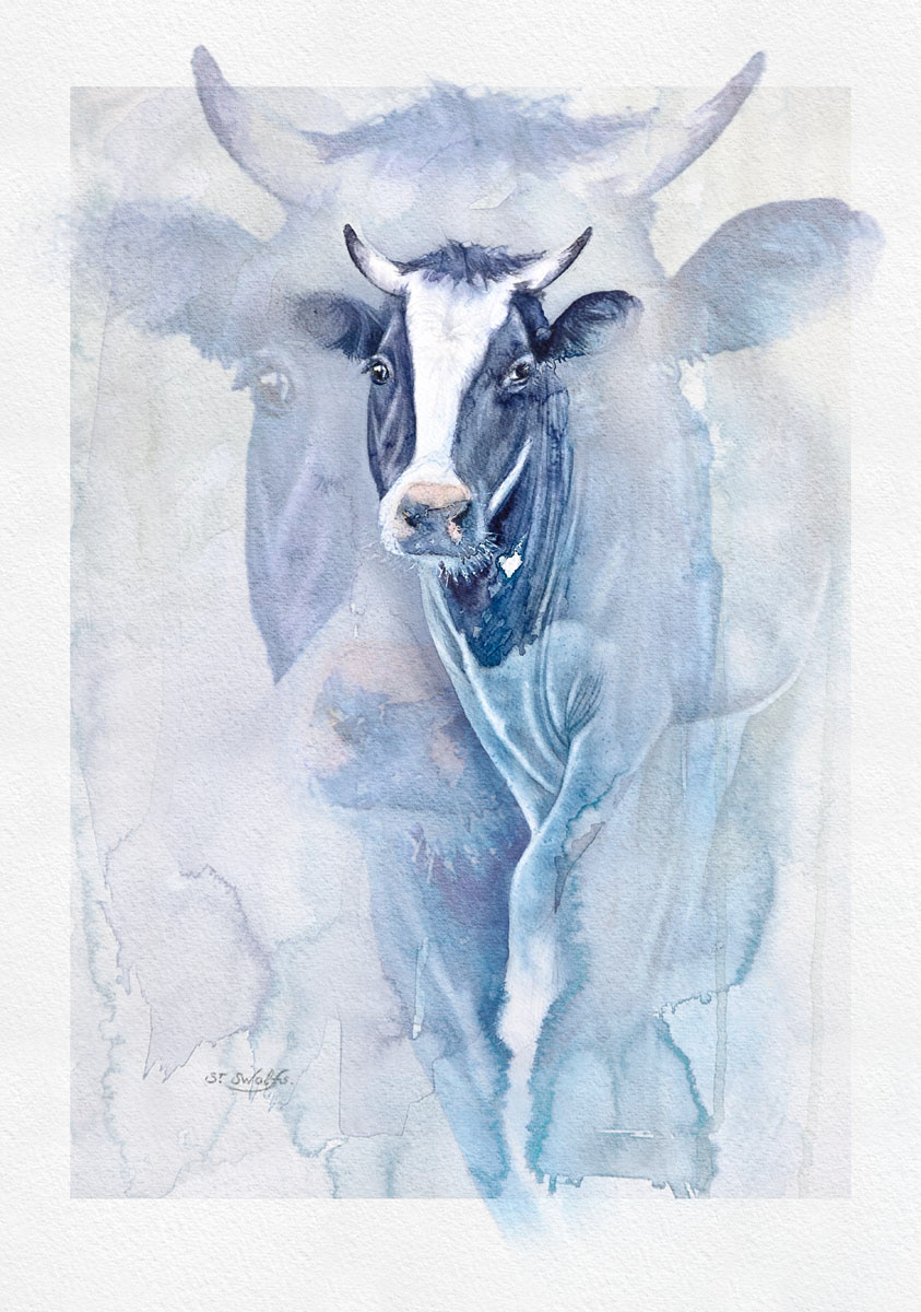 aquarelle watercolour photoshop Swolfs cow vache