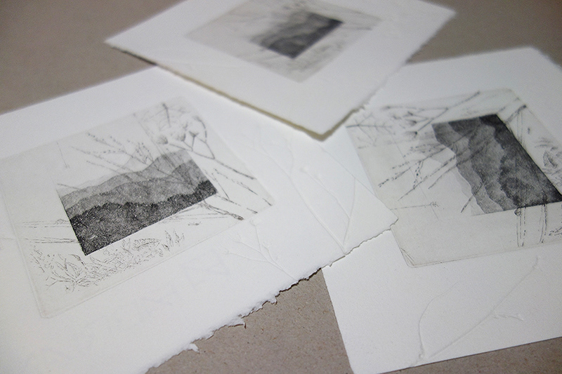 LIVRE d’ARTIST artist's book Calligraphy   engraving etching journey