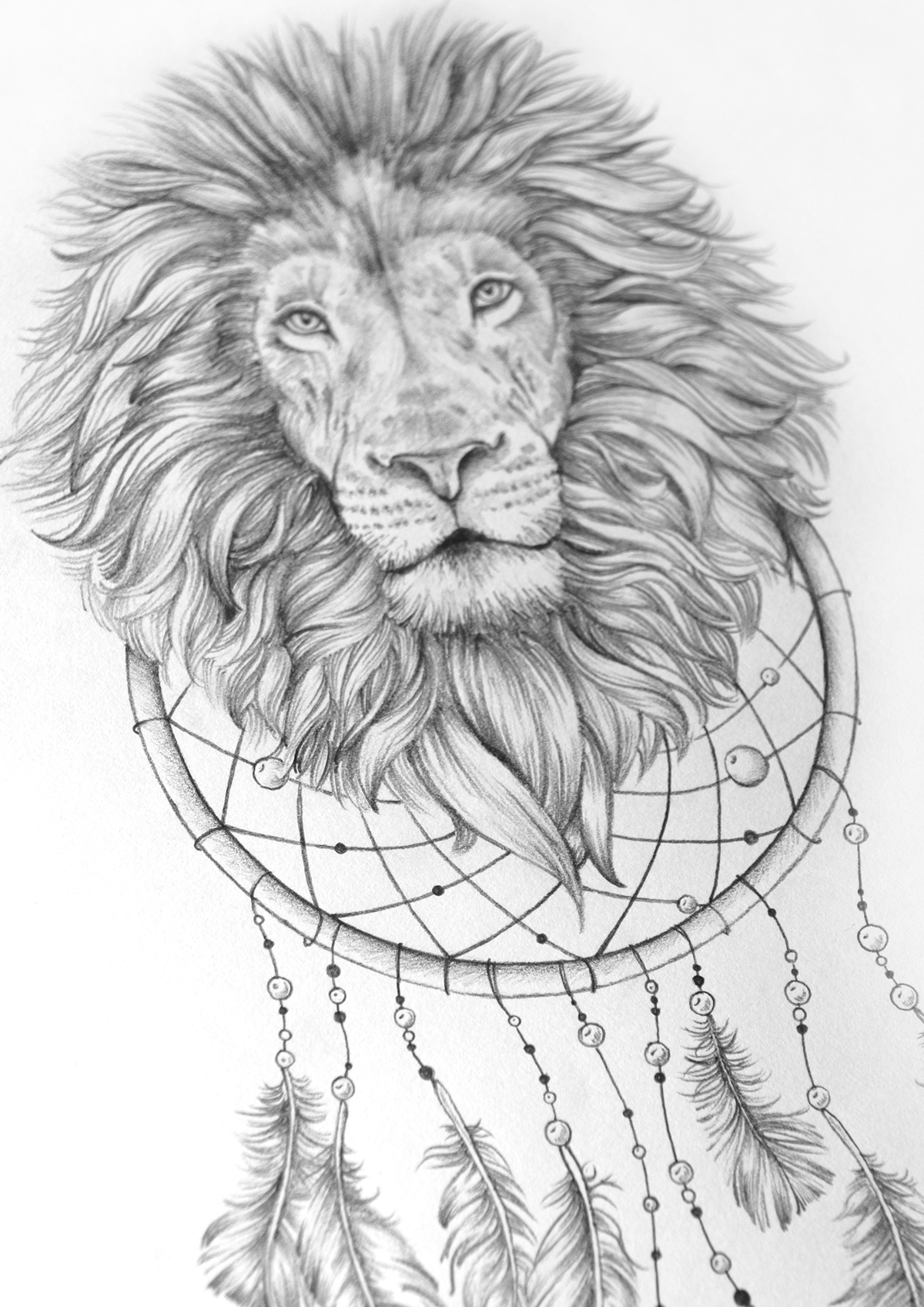 hand drawn beer bottle lion feathers boston Dream Catcher pencil sketch alcohol