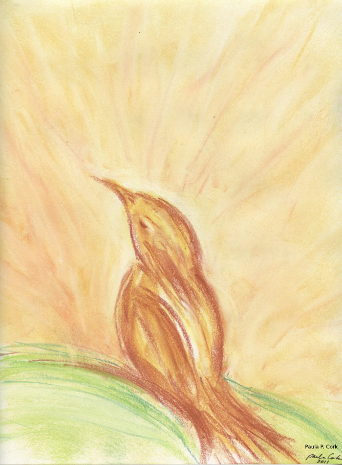 illustrations - bird series Pastels