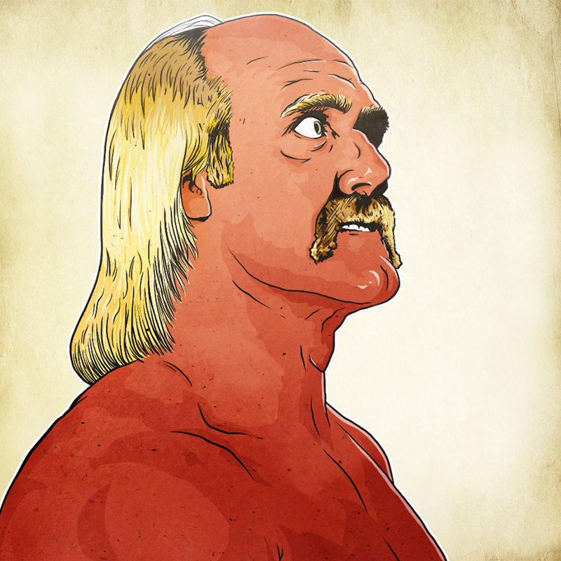 Wrestling WWE WWF 80s bret hart The Undertaker Hulk Hogan Stone Cold Steve Austin andre the giant shawn Michaels  Daniel Bryan