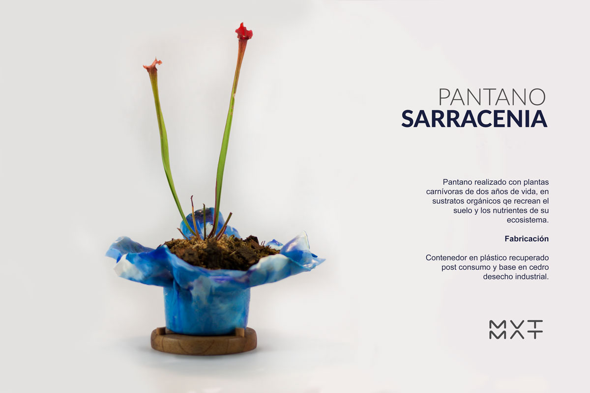 design plastic art recycling pot plants carnivorous