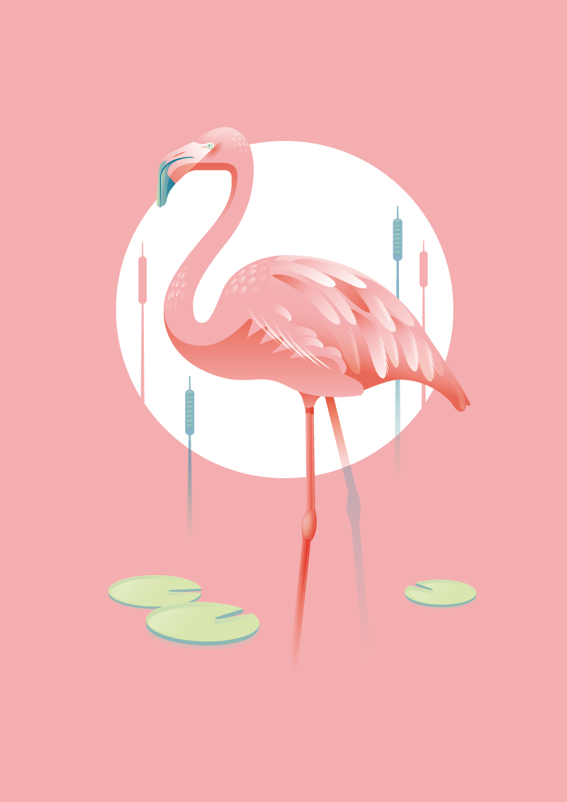 flamingo poster art Illustrator photoshop