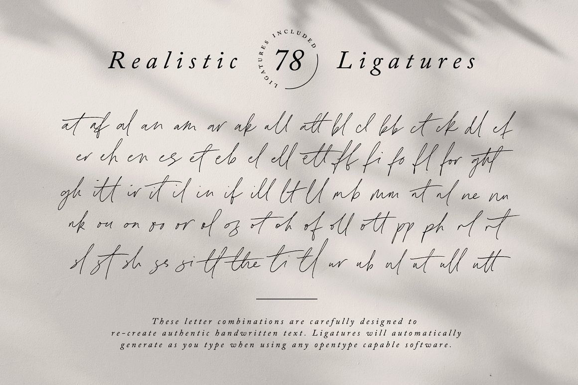 handwriting handwritten font Typeface font typography   lettering cursive fountain pen Script Calligraphy  