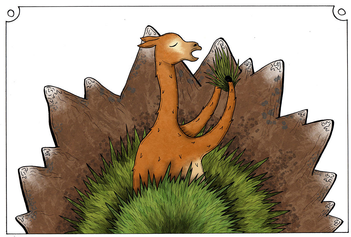 vicuña peruano steven ilustracion peru ichu