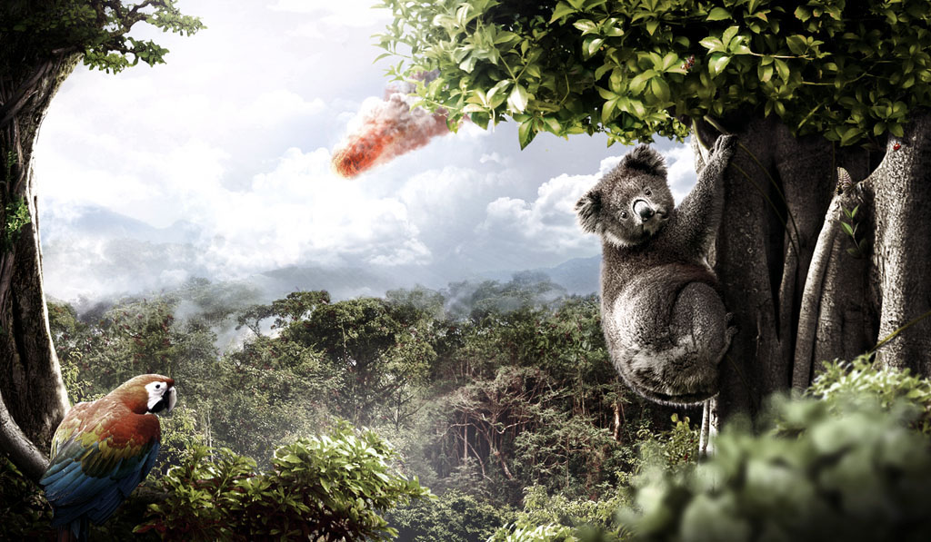 koala jungle bird asteroid explosion positivepictures positive picture