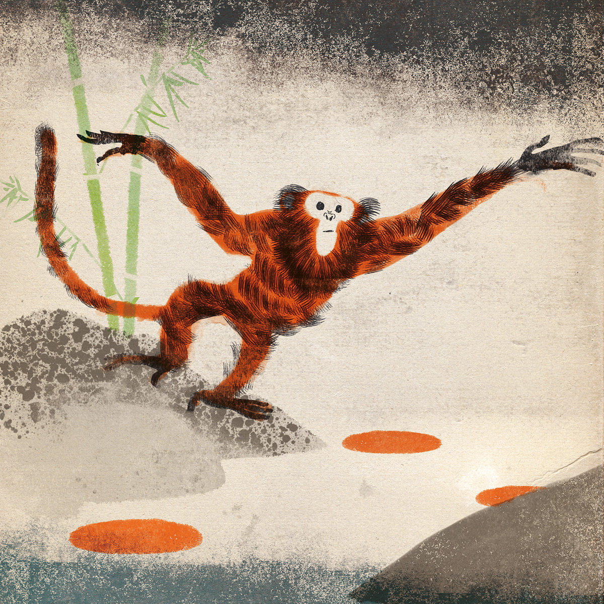 recherche research monkey singe