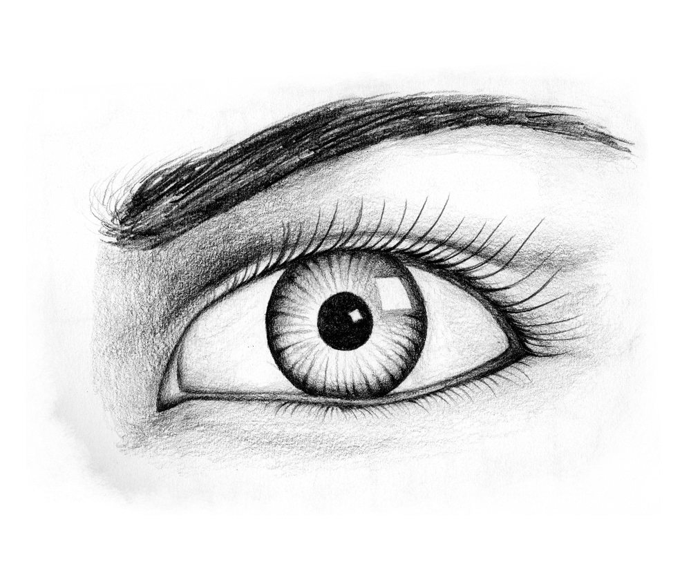 sketching  eye  face   human  body  pencil graphic tablet