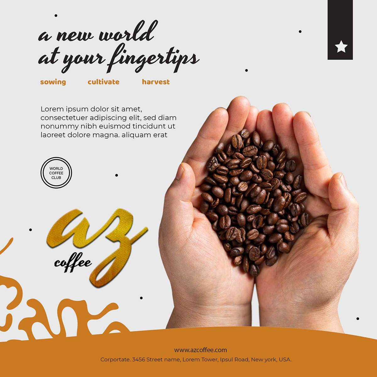 coffee branding brand identity Logo Design adobe illustrator Brand Design