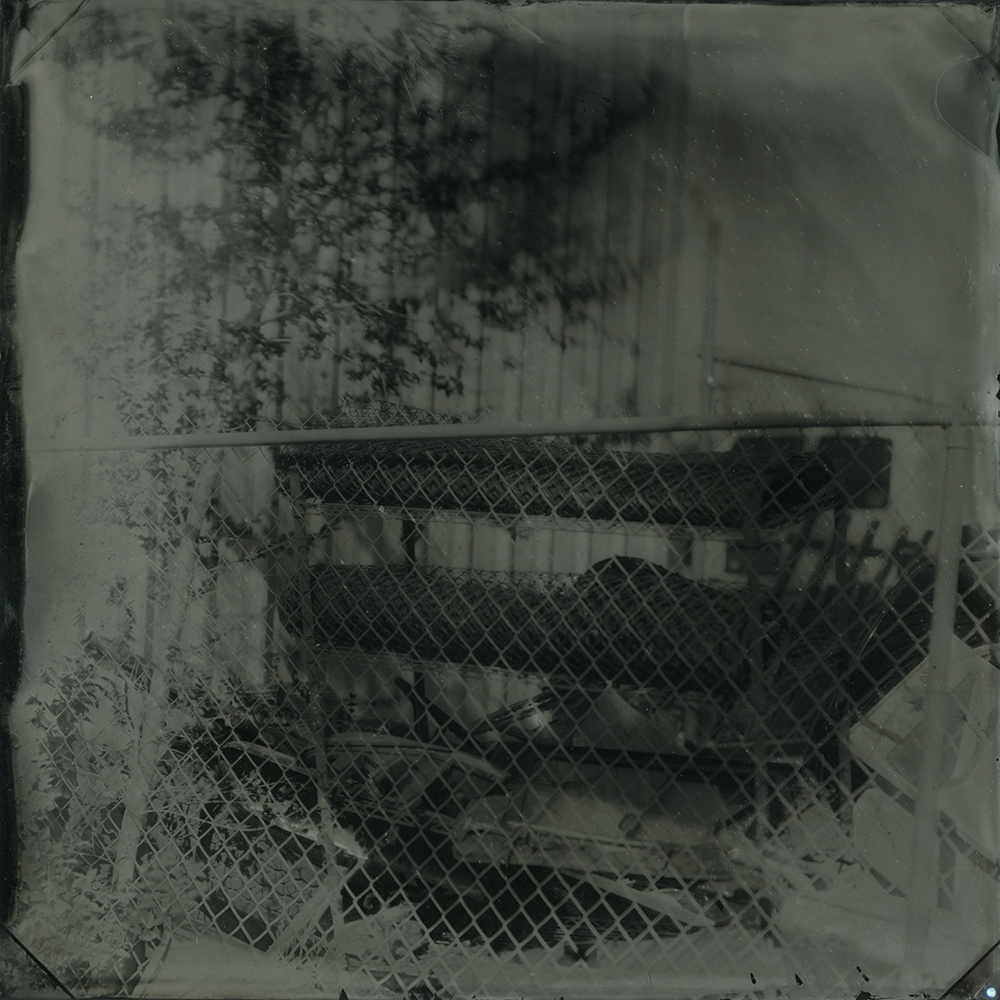 tintype wet plate collodion wet plate photography bostick and sullivan still life santa fe Flowers skull large format photography holga