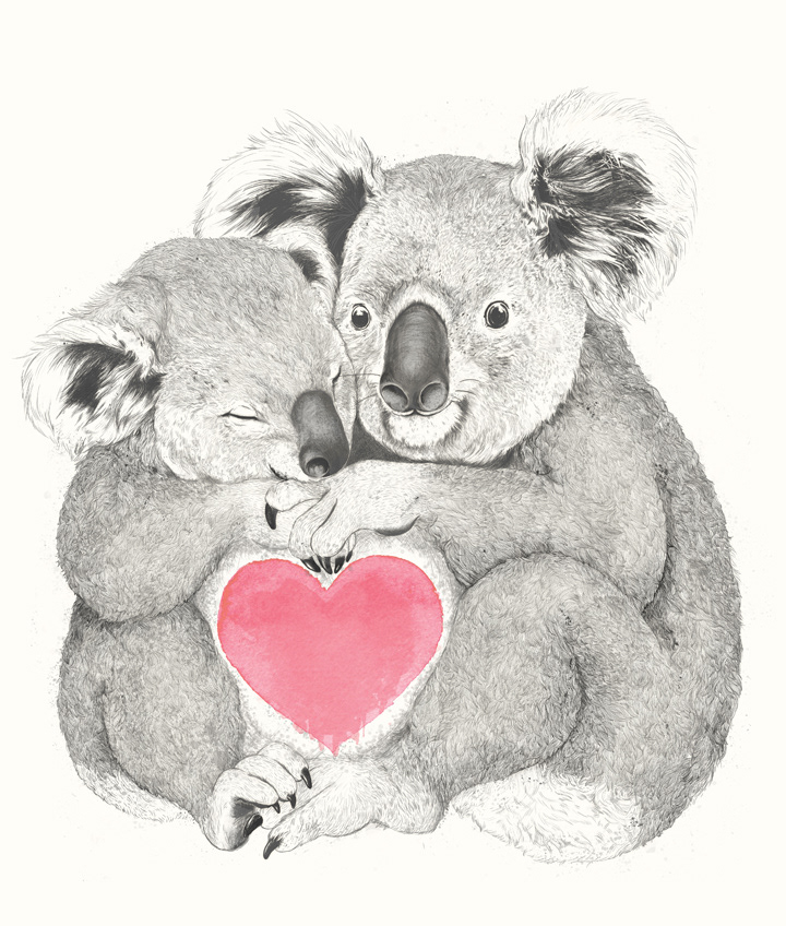 koala bear heart watercolor