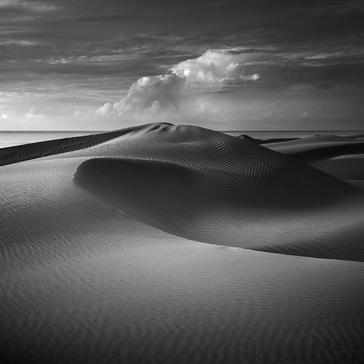 beauty of Indonesia black and white bw fine art daniel tjongari desert fine art indonesia Landscape Photography  Sony