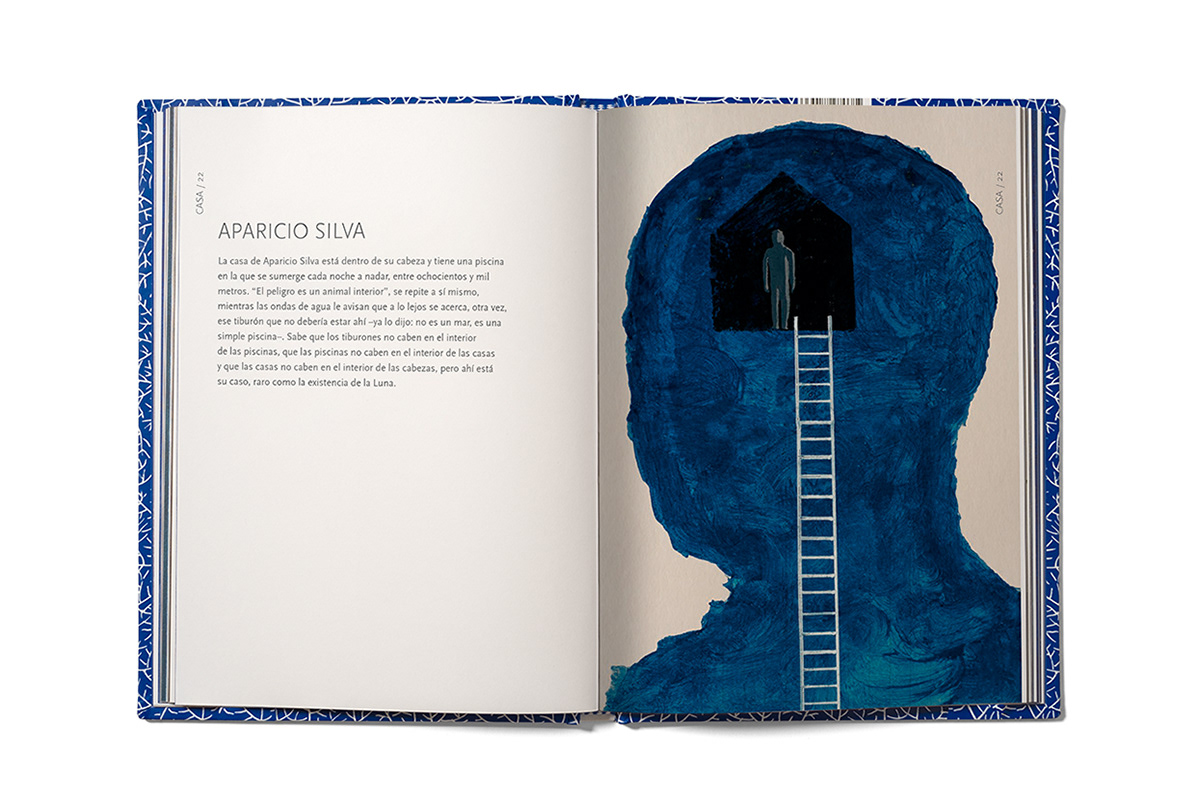 diário visual diseñoeditorial editorialdesign libro