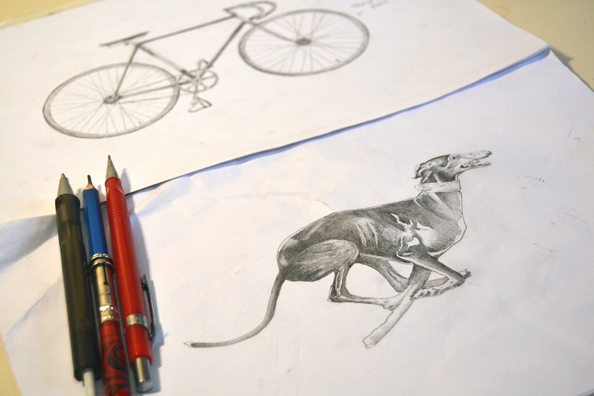dog vintage illustartion Ilustração cachorro Bicycle bicicleta sport Esporte