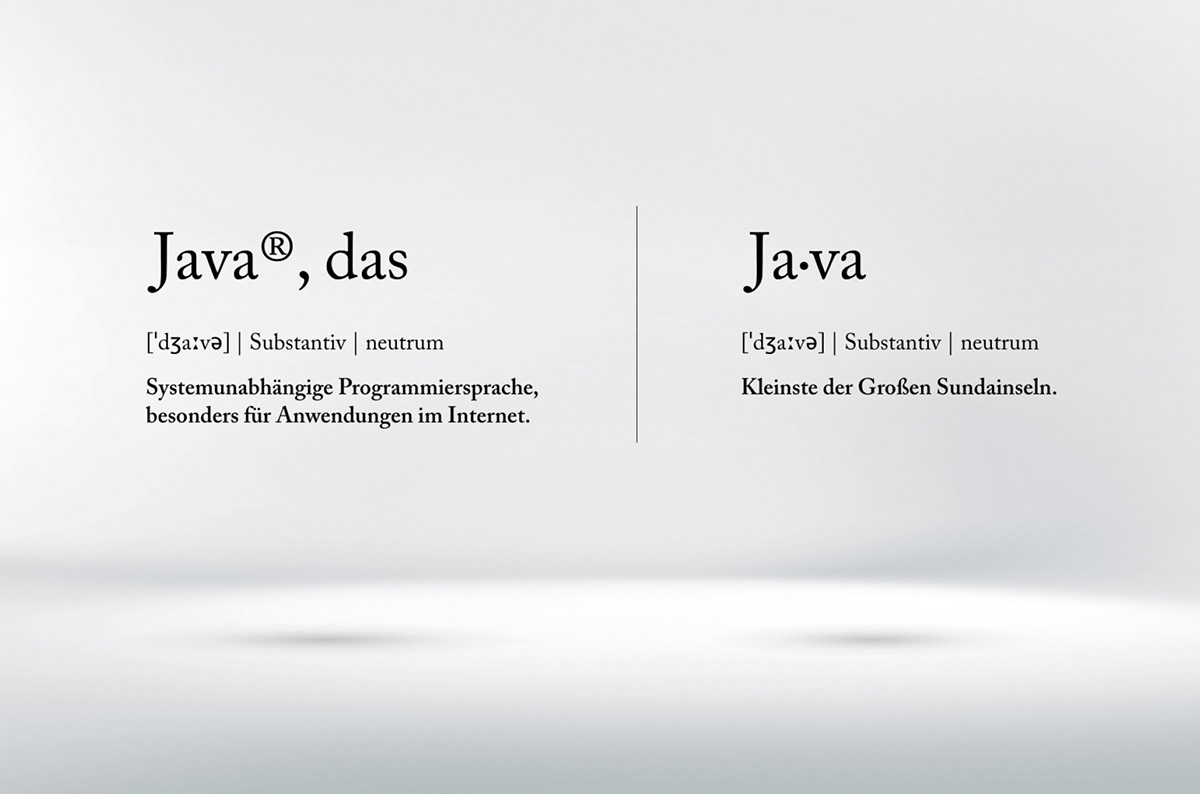 Recruiting java IT Softwareentwicklung Jobs Kampagne werbung Advertising  Website stuttgart