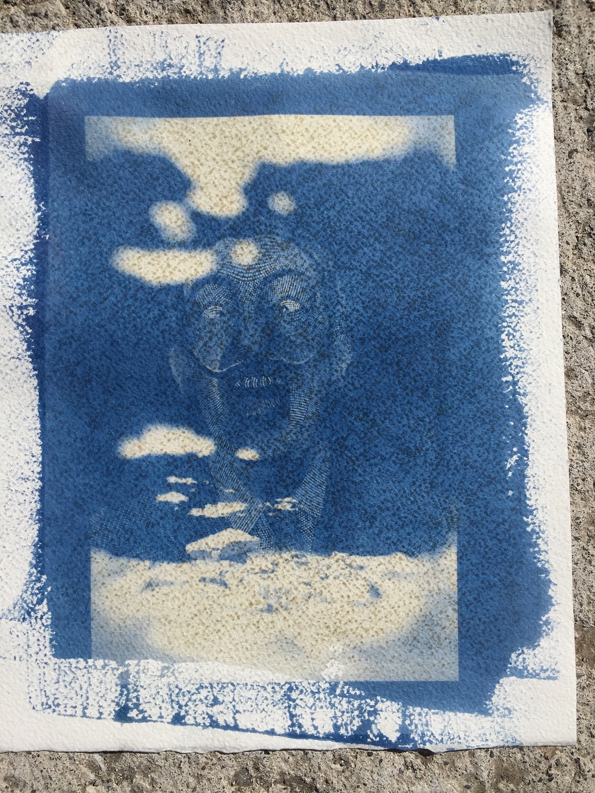 Cyanotypes print making watercolor digital negatives Composite Collaboration hand made