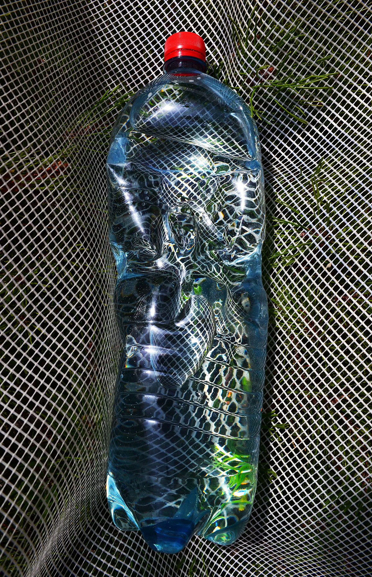 bottle Web distort distorted bottle DISTORTED