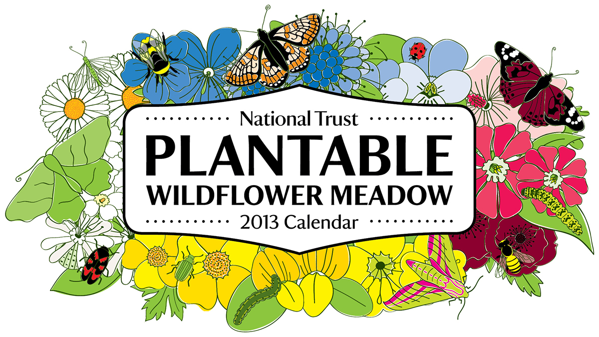 calendar plantable National Trust seed paper recyclable environmentally friendly pollination