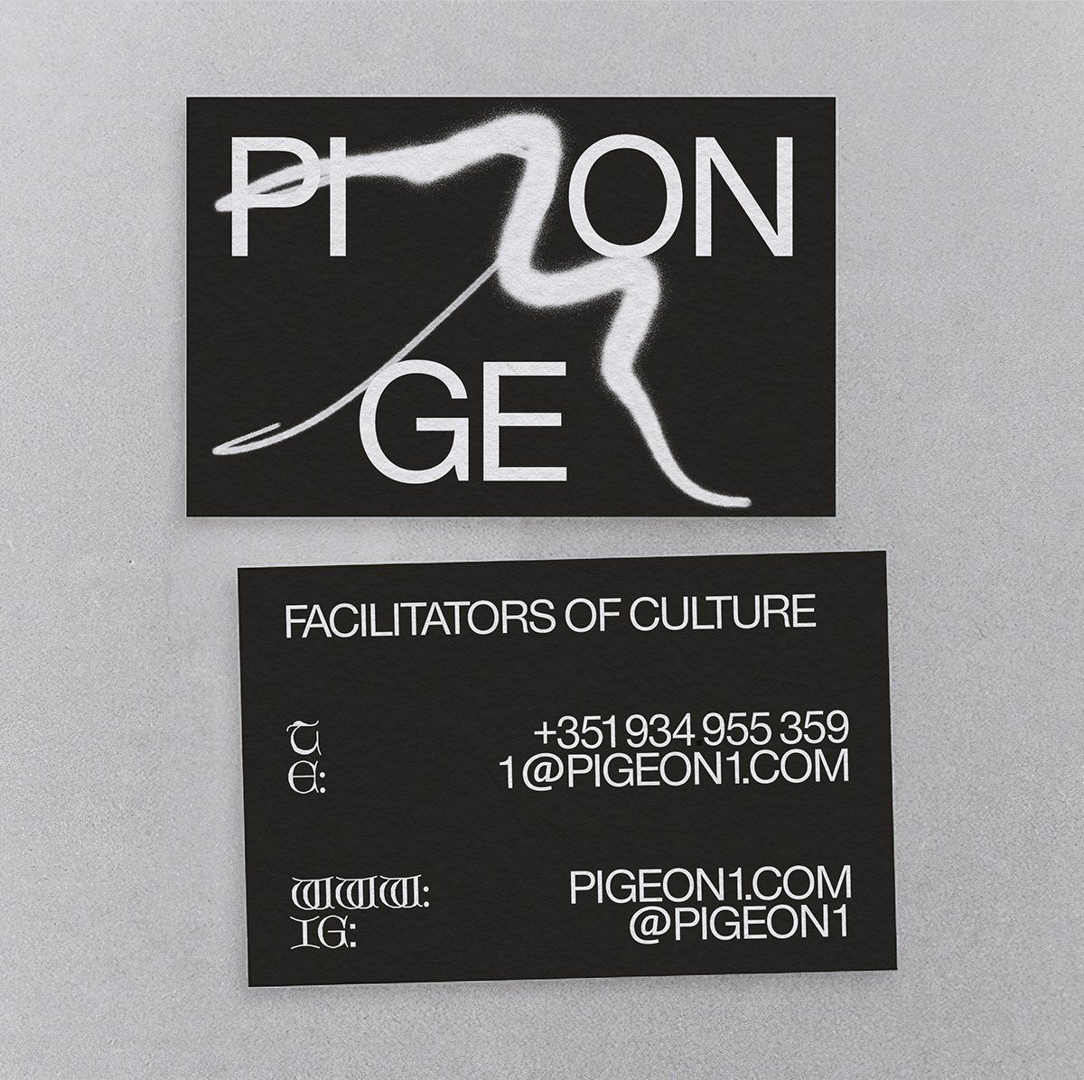 branding  cultural electronic Graffiti hiphop identity music pigeon techno Webdesign