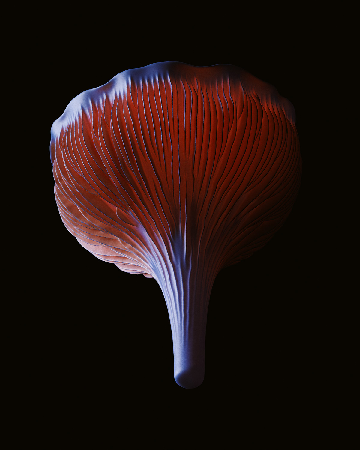 3D Digital Art  Flora Fungi generative houdini mushroom organic Procedural redshift