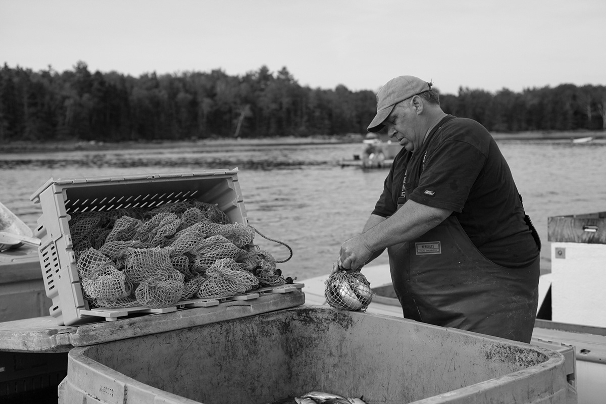 Maine lobster fish captain boat New England