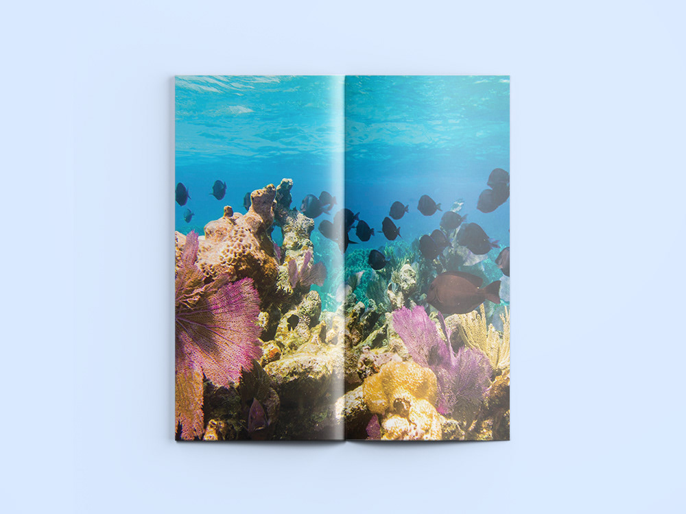 magazine underwater Bottom design