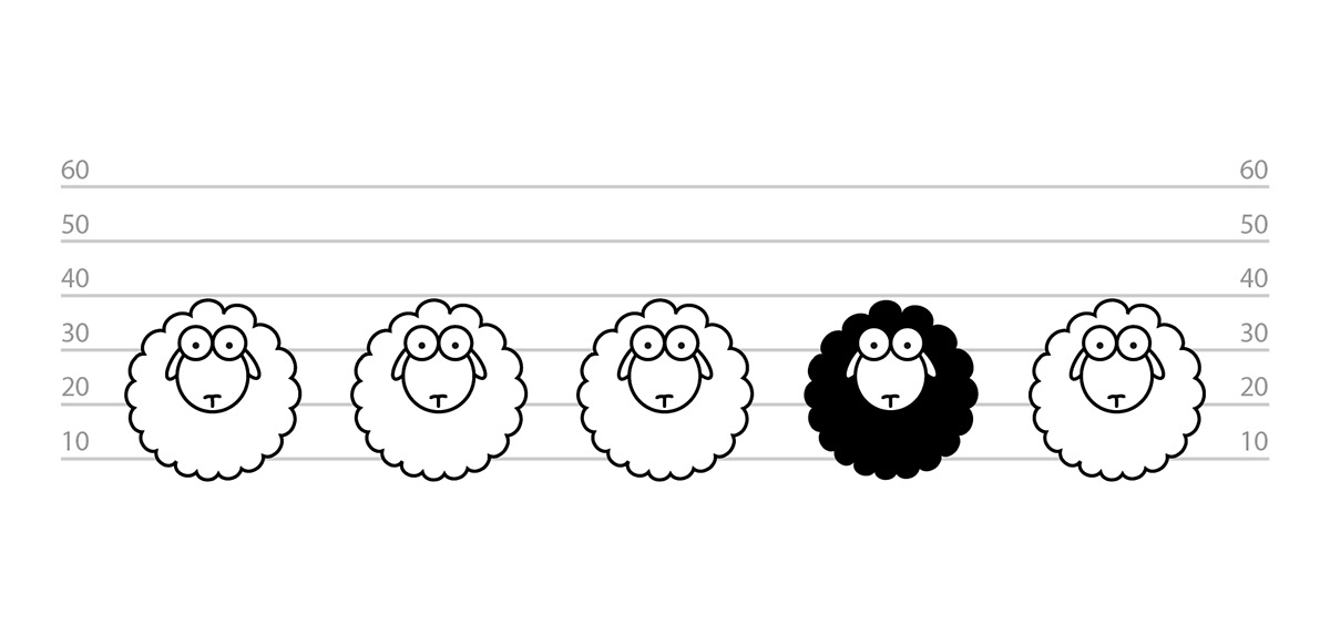 graphic design  motion graphic t-shirt sheep black family evolution logo graphic video