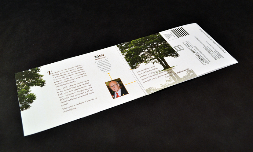 brochure Invitation Education fundraising Collateral Promotion Direct mail print design graphic Layout concept marketing  