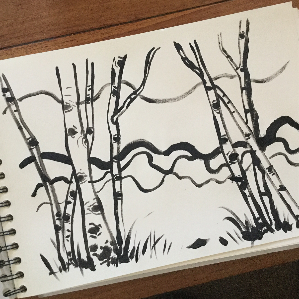 dessin Drawing  ink Nature black and white