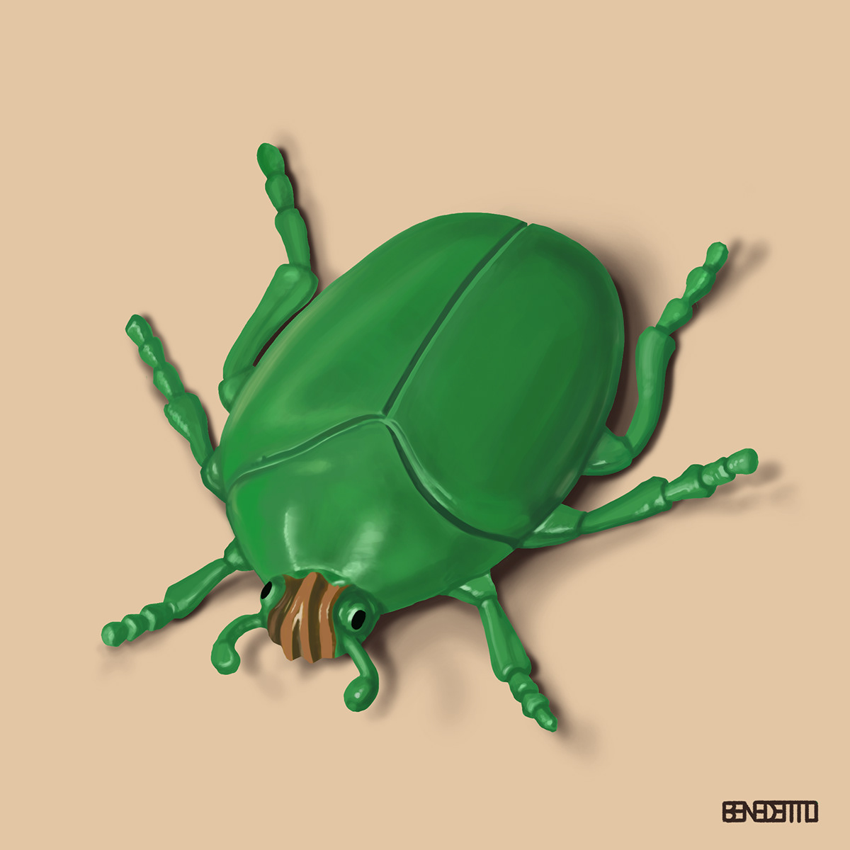 beetles entomology bugs still life studies digital painting scarabs Insects digital photoshop