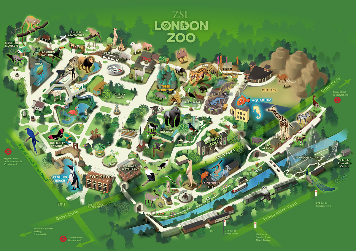 Adobe Portfolio London Zoo ILLUSTRATION  Illustrator design vector maps design maps madsberg graphic