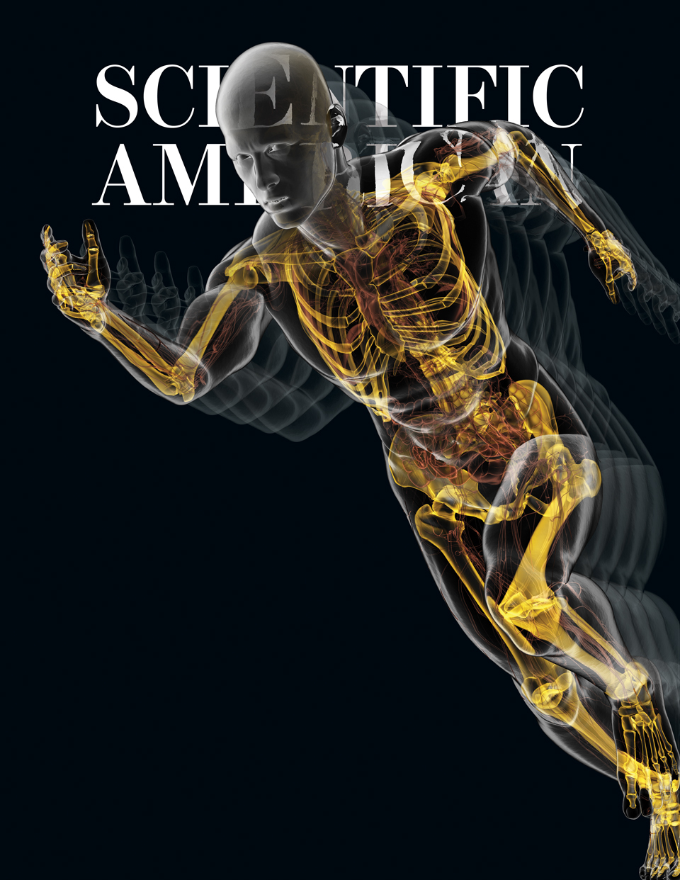 Adobe Portfolio ILLUSTRATION  anatomy running digital design editorial design 