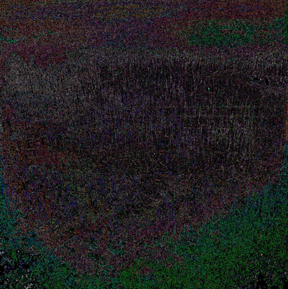 abstract dark colors neon Paintings pond grass