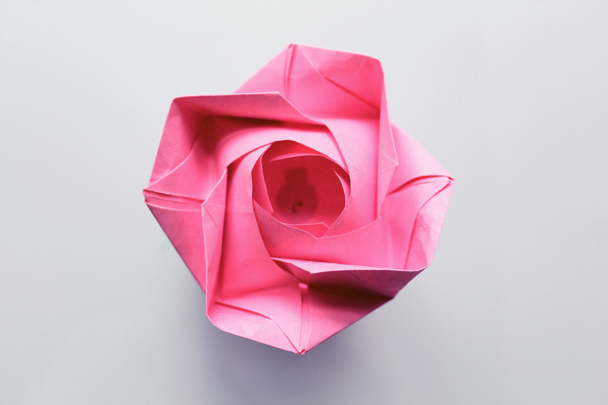 ancadesigns origami  creative flower Flowers lily spring season rose paper crafting Order online