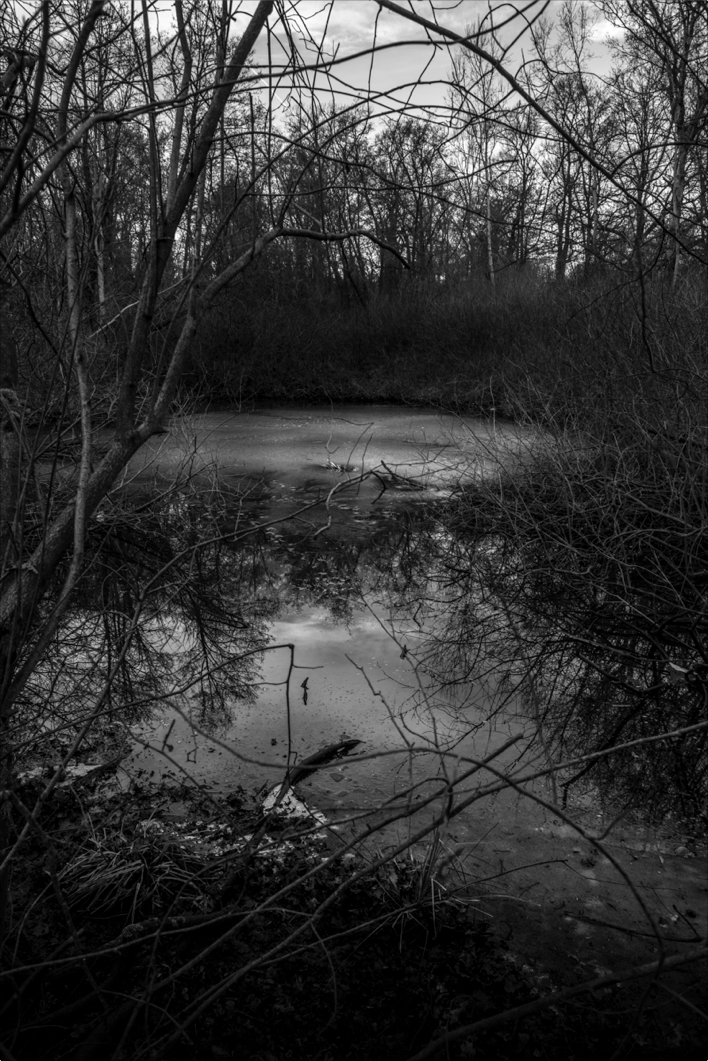 black and white Diary river sundown Scary